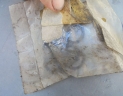 joint torique 15.5 X 2.61