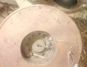 volant moteur MWM pourRENAULT