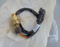 sonde